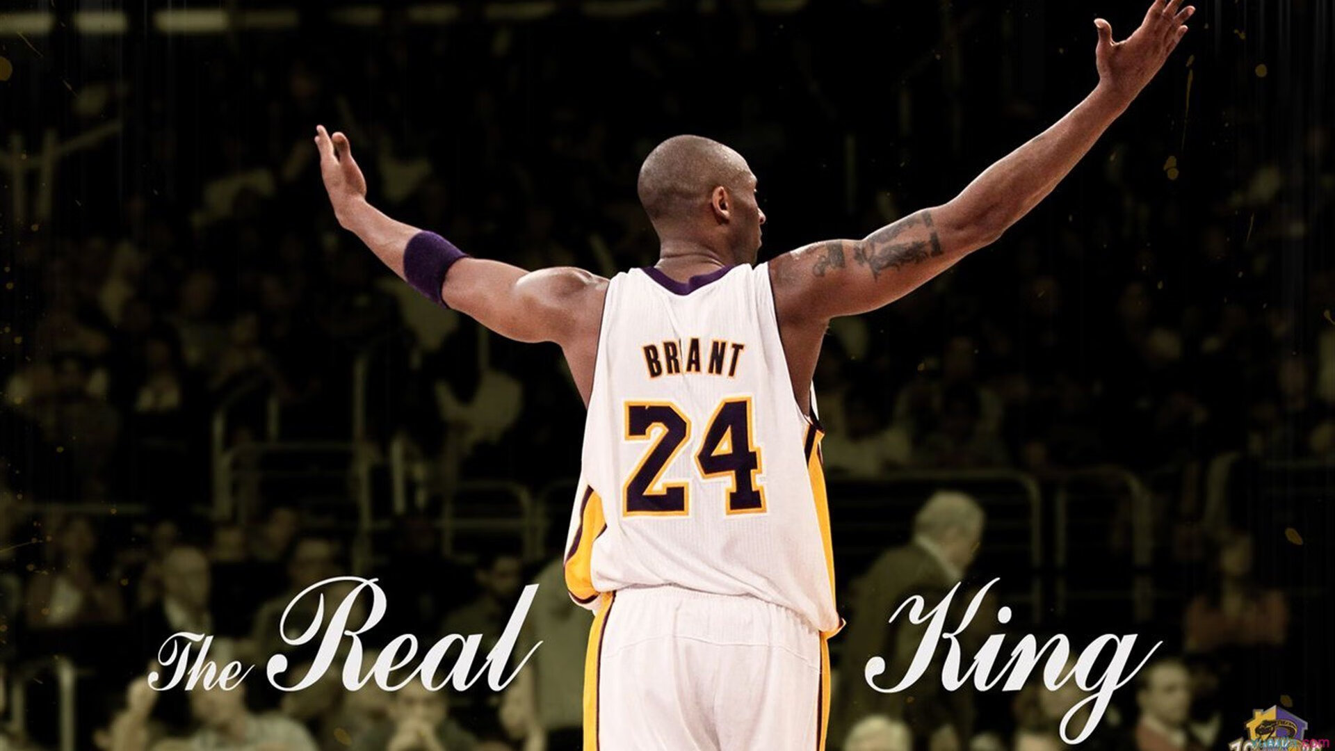 德甲高潮:攻势持续,精彩不断,德甲名场面